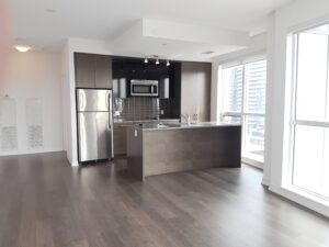 1317 - 98 Lillian St (1)